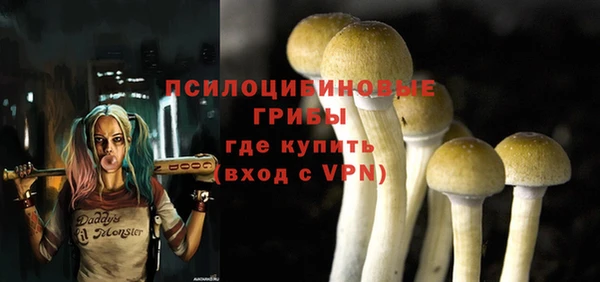 спиды Новодвинск