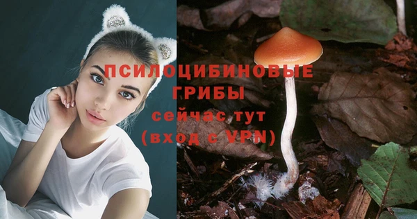 apvp Новокубанск