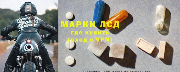 спиды Новодвинск