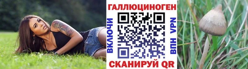 Купить где  Кашира  Галлюциногенные грибы прущие грибы 